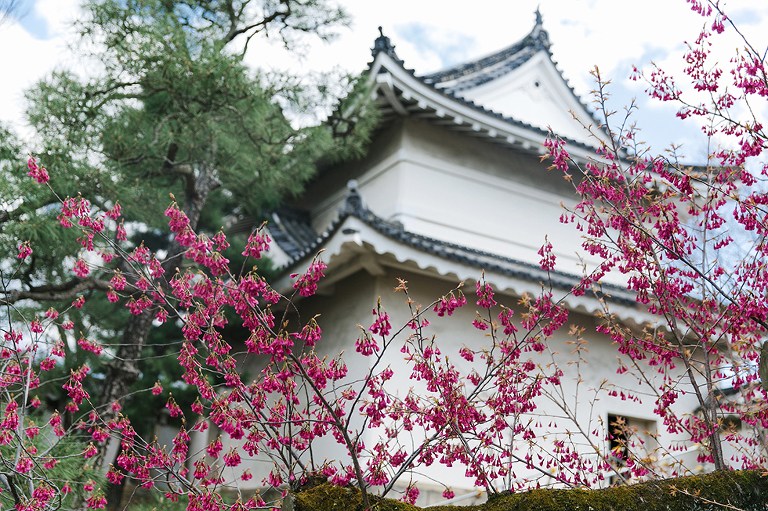 Kyoto-Japan-travel-photography-by-Courtney-Tompson-Midwest-photographer