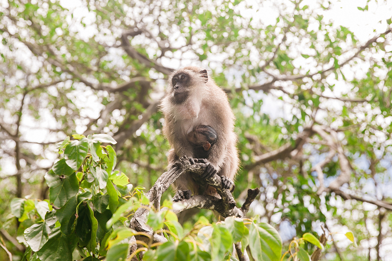 Phuket-and-Bangkok-Thailand-Travel-Photography-By-Courtney-Tompson-Photography
