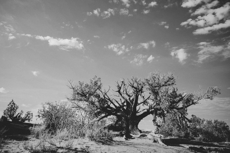 travel-photography-by-courtney-tompson