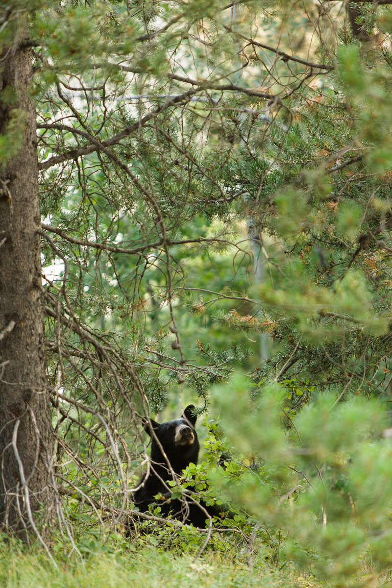 travel-photography-by-courtney-tompson