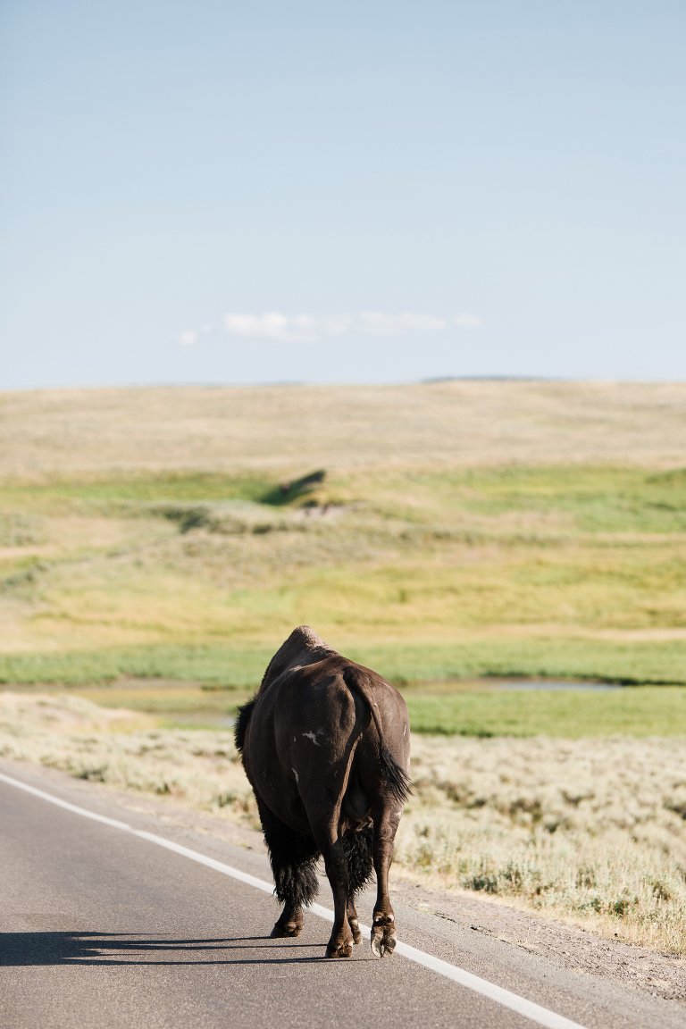 travel-photography-by-courtney-tompson