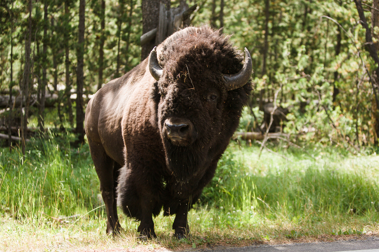 travel-photography-by-courtney-tompson