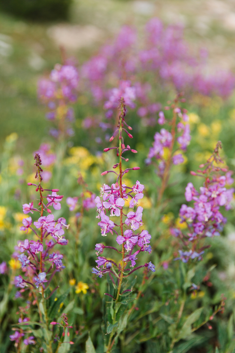 travel-photography-by-courtney-tompson