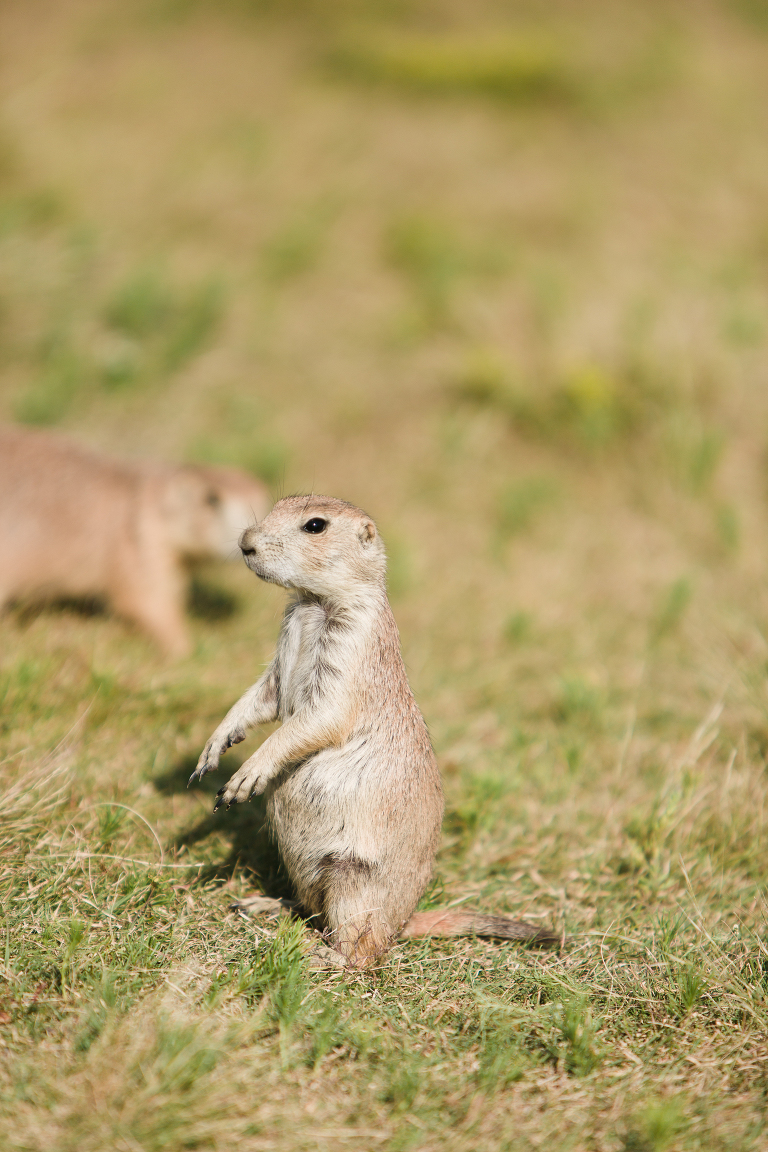 travel-photography-by-courtney-tompson