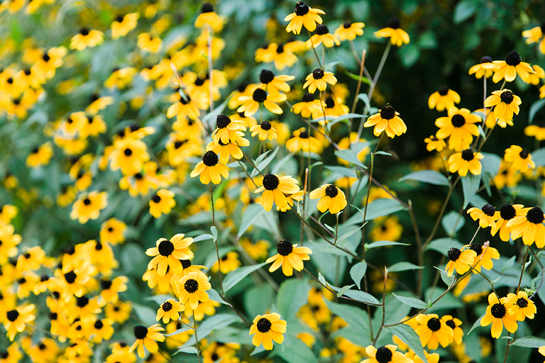 Boston-Salem-travel-photography-by-courtney-tompson