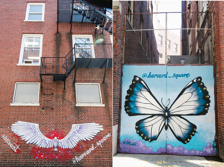 Boston-Salem-travel-photography-by-courtney-tompson