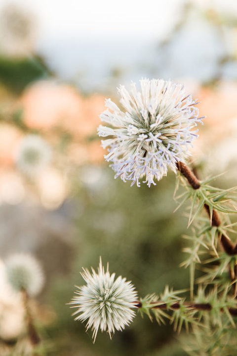 courtney-marie-travel-blog