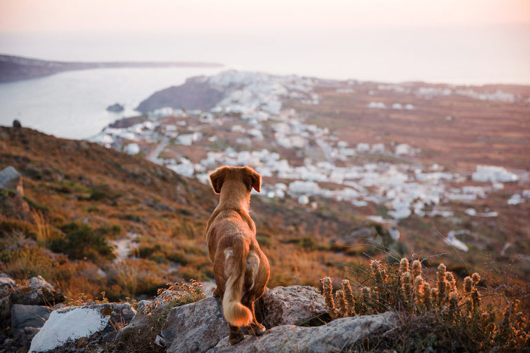 courtney-marie-travel-blog