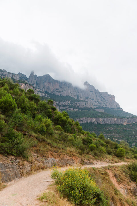 Barcelona-Spain-Courtney-Tompson-Travel-Photography